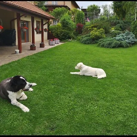 Case de vacanță Lakehouse Chinteni
