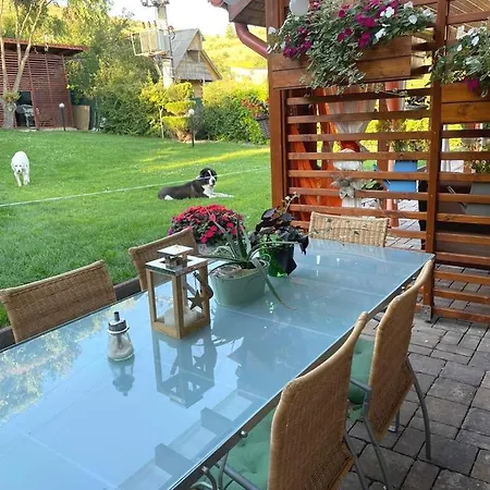 Holiday home Lakehouse Chinteni