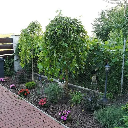 Holiday home Lakehouse Chinteni